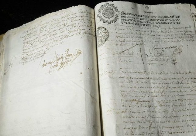 textos escritoras