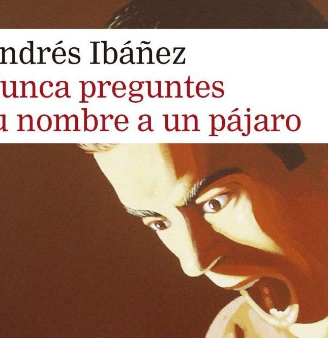 Andrés Ibáñez
