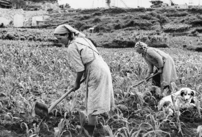 retrato-de-la-mujer-rural-a-lo-largo-de-la-historia