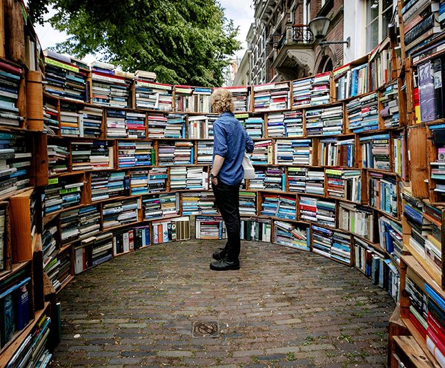 Día Libros