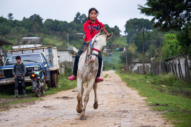 Sandra Jiménez jinete México