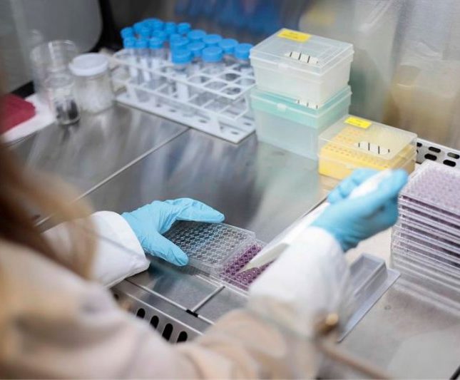 Una esponja biodegradable, desarrollada por investigadores brasileños y portugueses, mejora el tratamiento de la candidiasis vaginal.