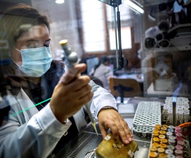 Solo un 12% del top 50 del personal investigador en España es mujer