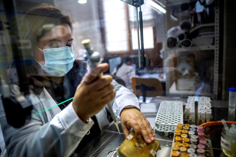 Solo un 12% del top 50 del personal investigador en España es mujer