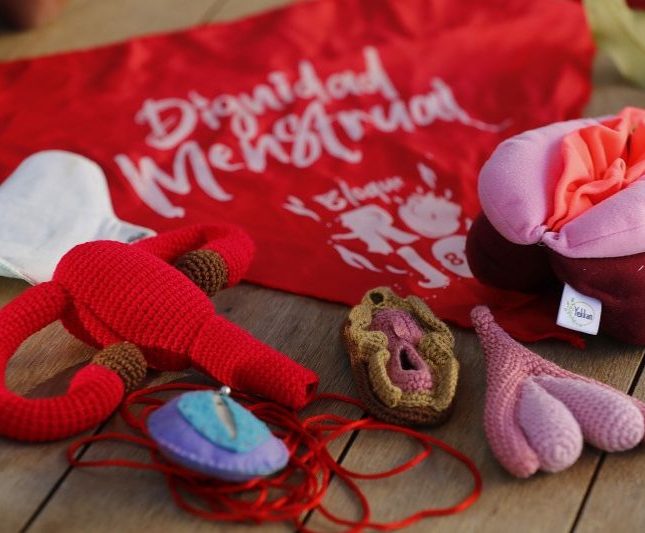 El estrés durante el confinamiento alteró el ciclo menstrual, no fue la covid