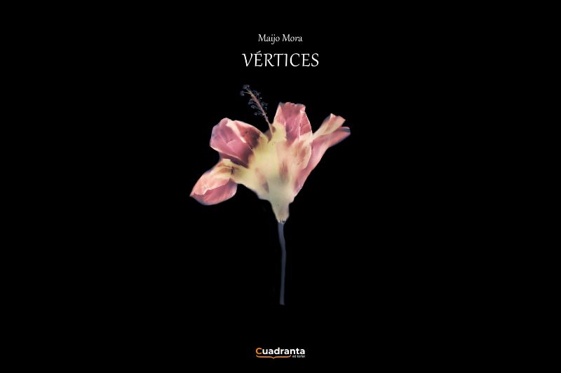 Vértices cáncer de mama