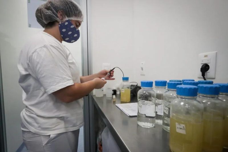 Las mujeres latinoamericanas enfrentan más obstáculos en salud que los hombres