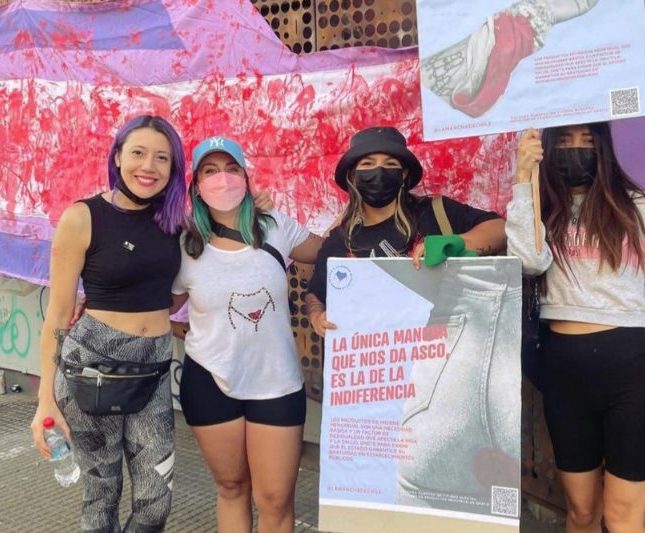 Fotografía cedida por la organización 'La mancha de Chile', que muestra a sus integrantes durante una manifestación en Santiago (Chile). EFE/La mancha de Chile/