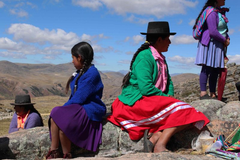 Actores estatales ejercen violencia digital contra defensoras medioambientales en la región andina