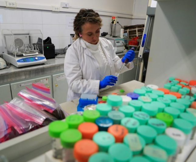 científicas sector privado