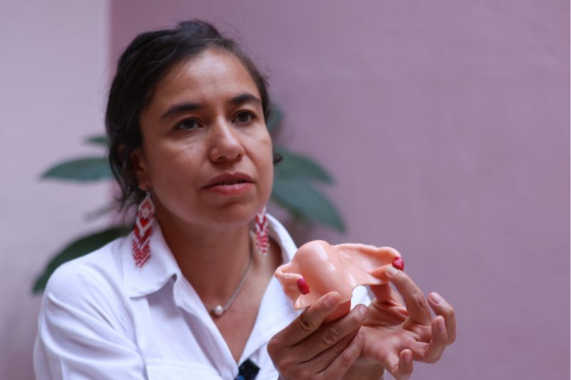 mexicanas menopausia