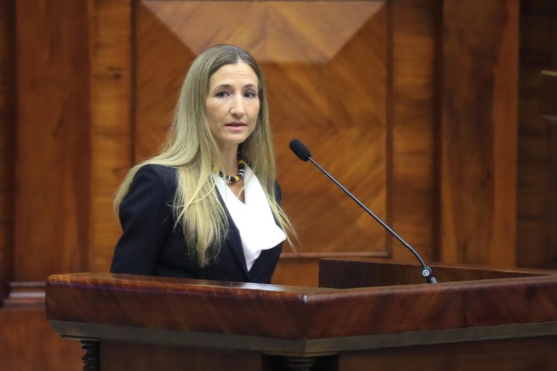 exesposa ecuador violencia vicaria