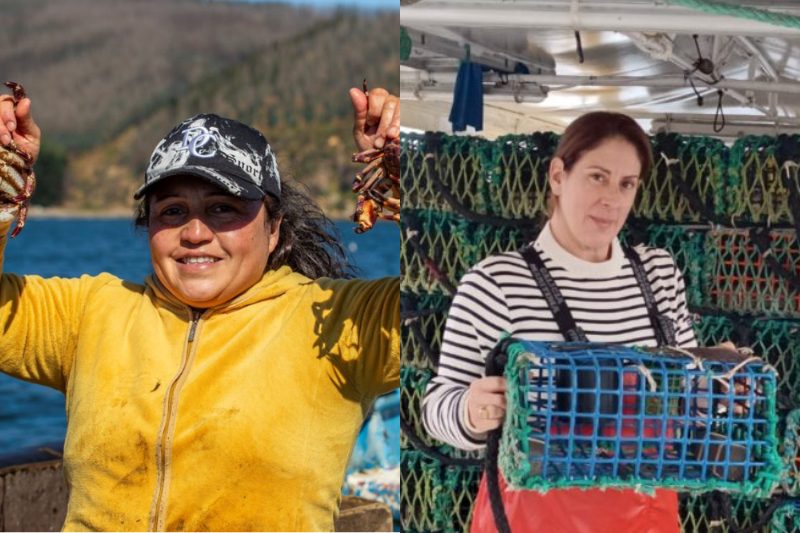 emprender en el mar