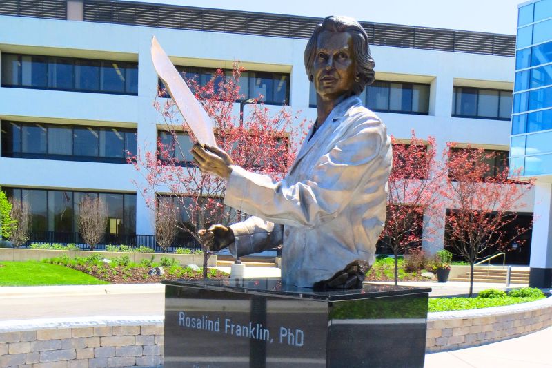 Rosalind Franklin descubrió estructura ADN