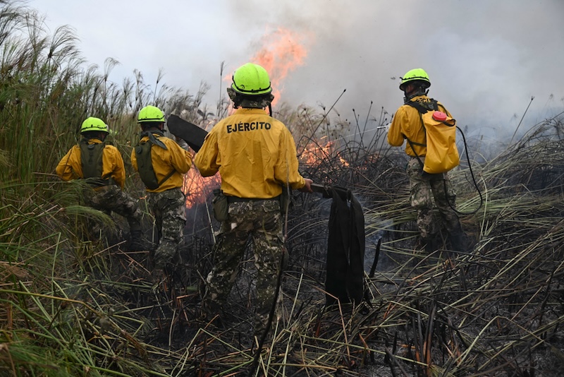 Cuerpo de Bomberos de Paraguay sofocaron un incendio forestal.