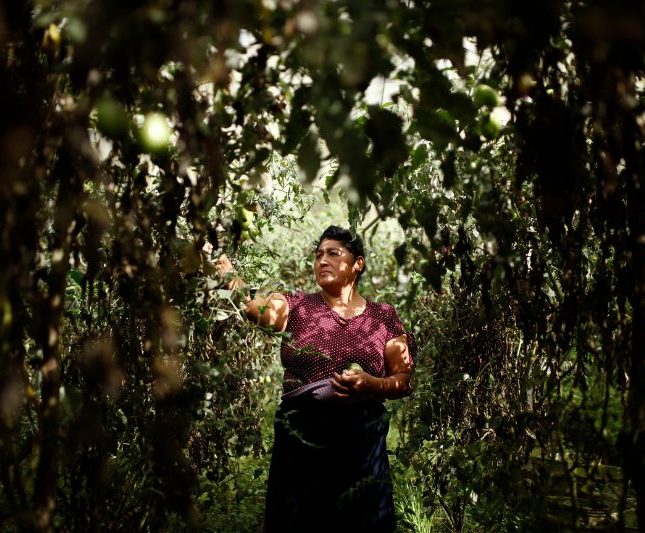 mujeres Latinoamérica empleo agroalimentario