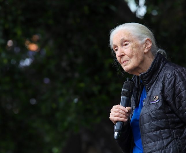 La etóloga Jane Goodall ofrece una charla a estudiantes