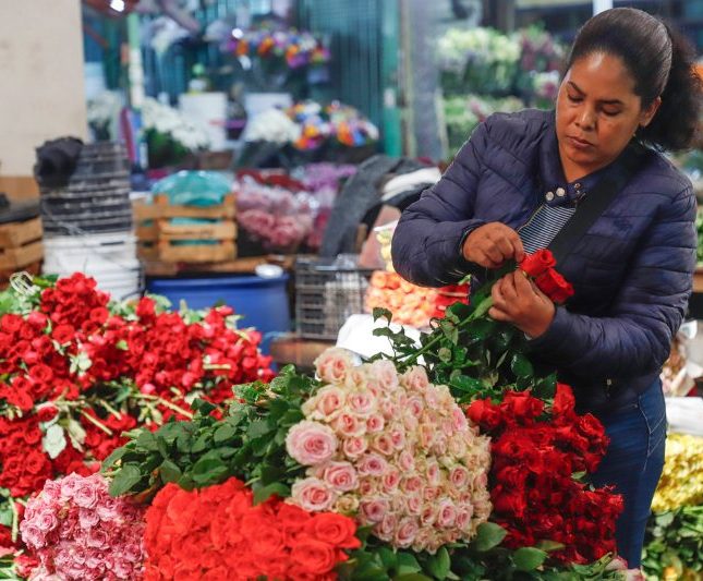 madre México barreras laborales