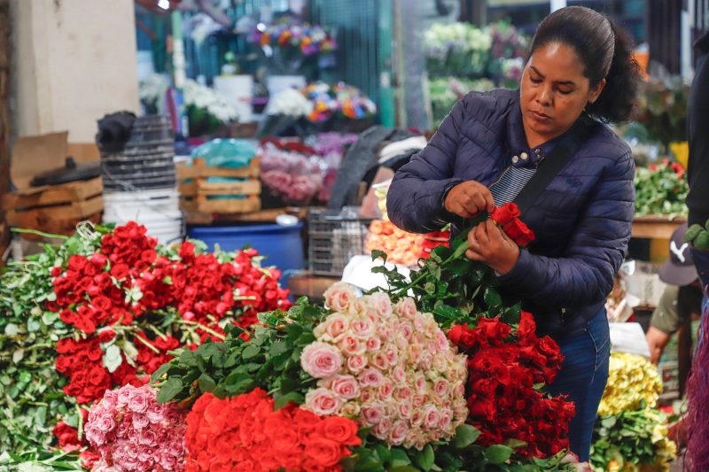 madre México barreras laborales