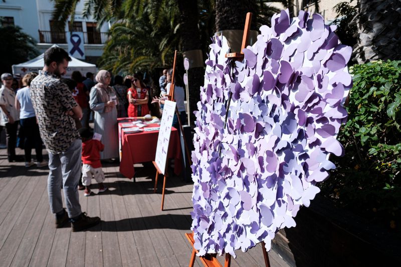 crímenes vicarios 2024