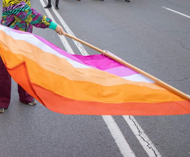 condena lesbofobia chile