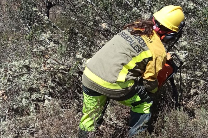 rosa rivera bombera forestal madrid