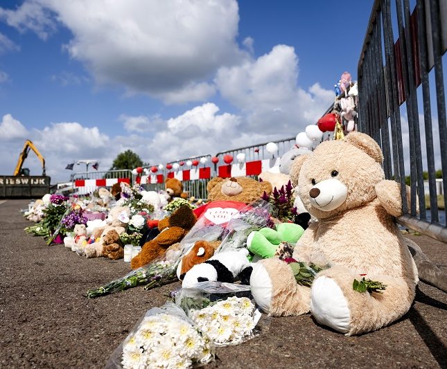 ley violencia vicaria