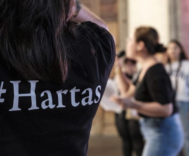 perro violencia vicaria