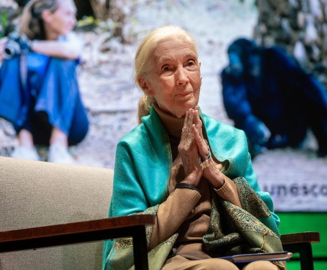 Muere Jane Godall