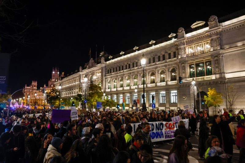 manifestaciones madrid 25n