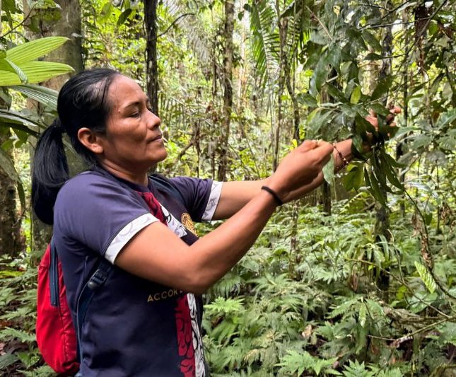 mujeres-restaurar-selva-ecuador