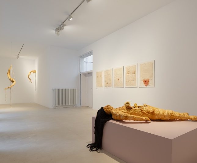 exposición Gisèle Pelicot