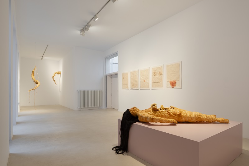 exposición Gisèle Pelicot