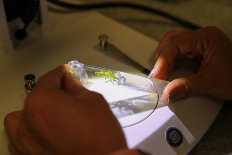 gobierno españa brecha género ciencia