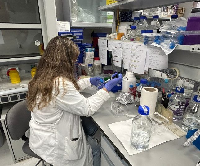 Investigadores iberoamericanos mujeres