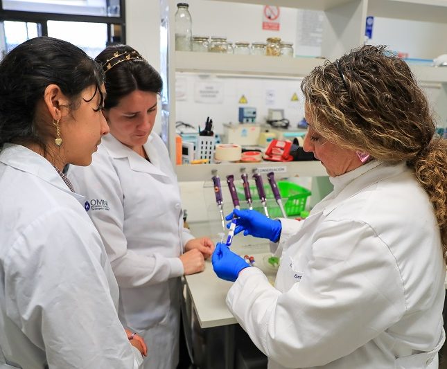 Empleo femenino innovación