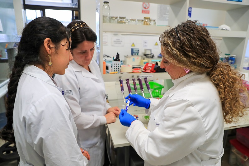 Empleo femenino innovación