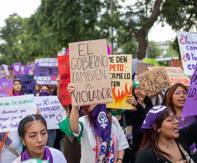 feminicidio ley Perú