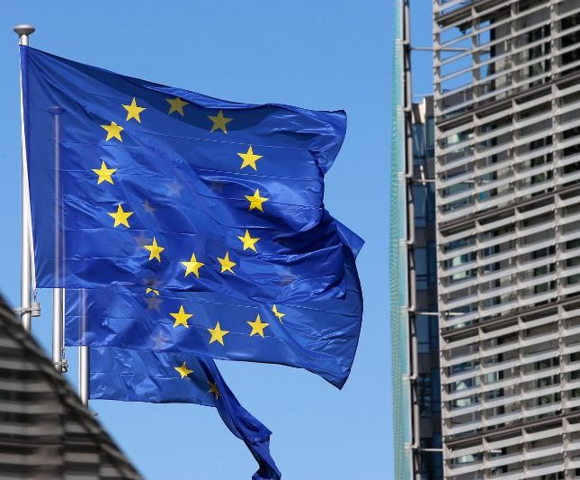eurocámara delegar voto embarazo parto