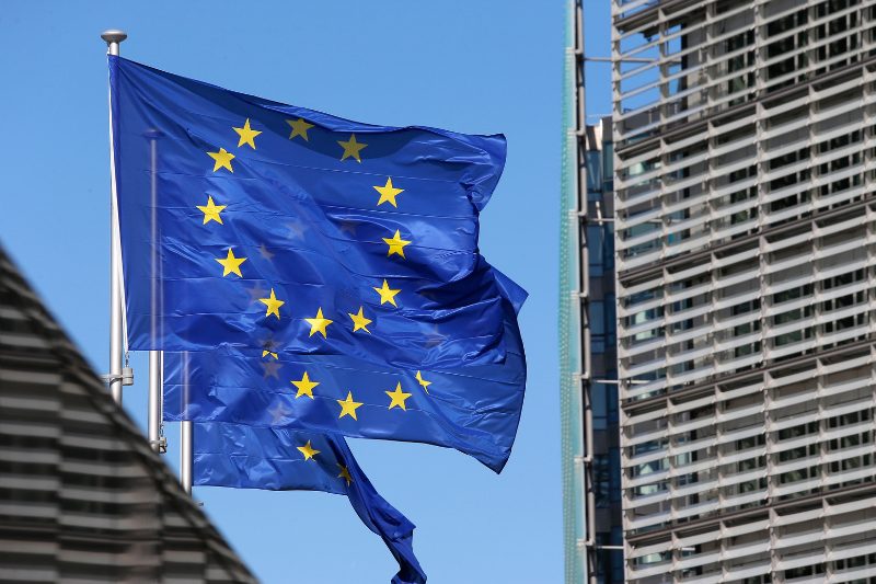 eurocámara delegar voto embarazo parto