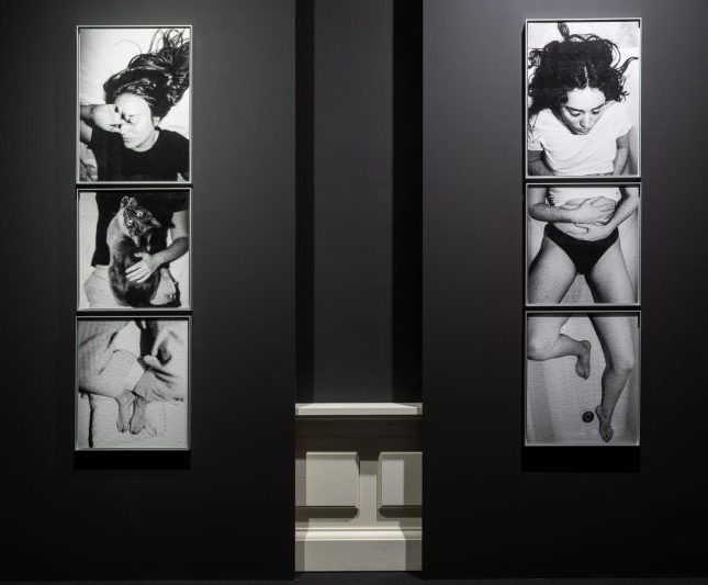 dos imagenes tripticos expo