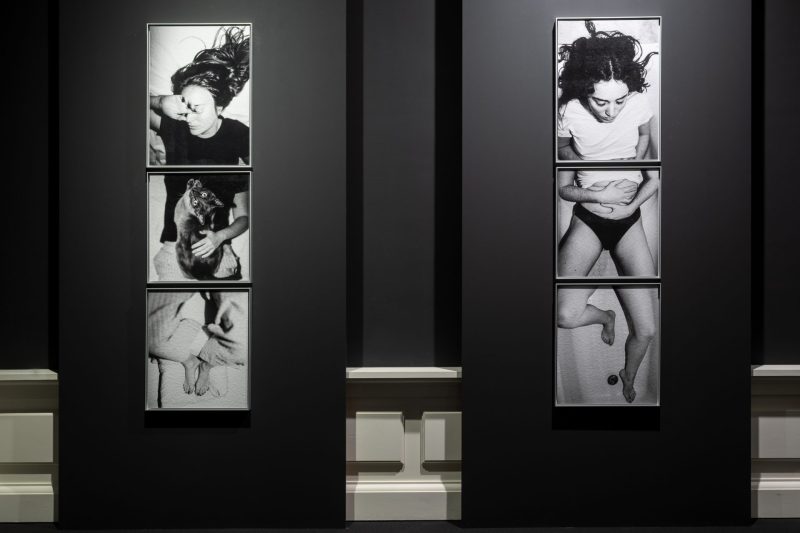 dos imagenes tripticos expo