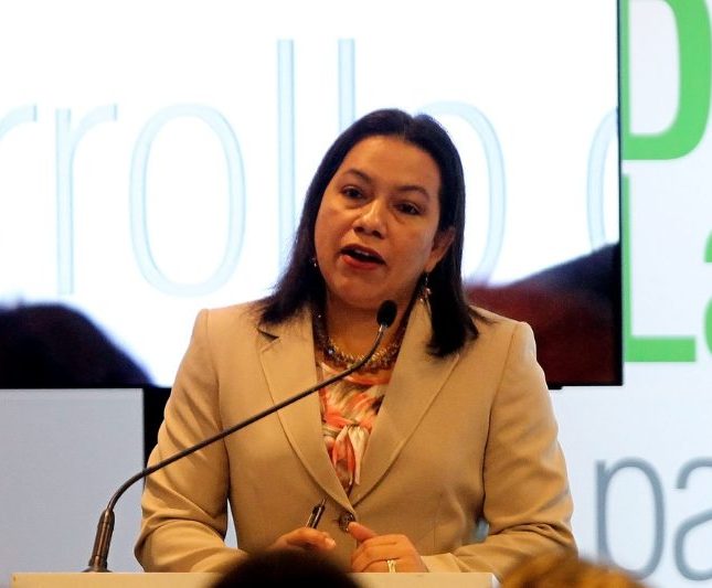 diplomática de Guyana Carolyn Rodrigues Birkett durante conferencia