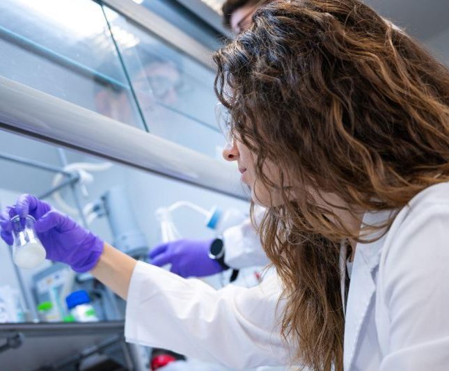 investigadora csic