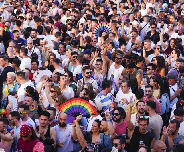 lgtbi banderas apoyo