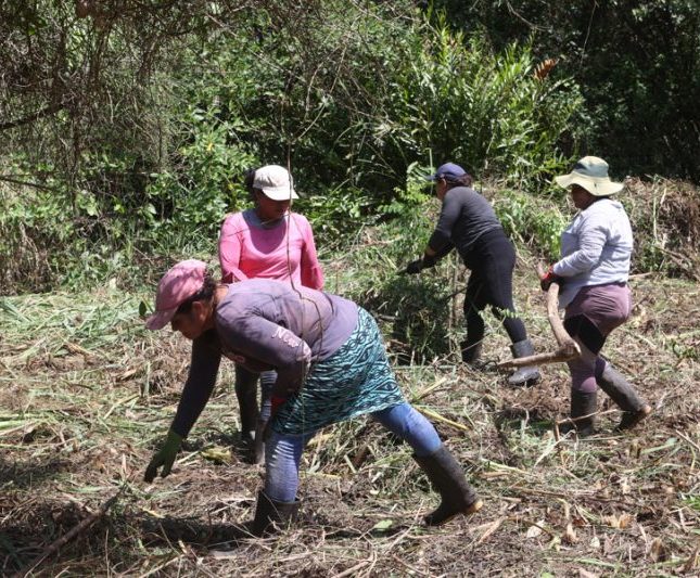 mujeres protección manglar