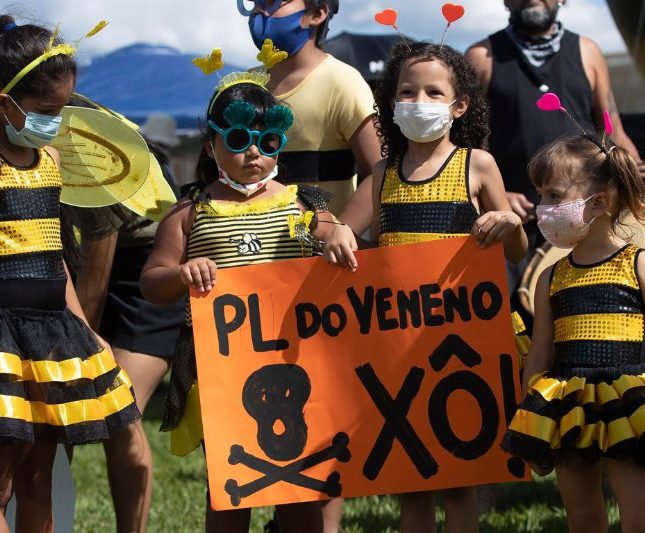 protestas brasil pesticidas